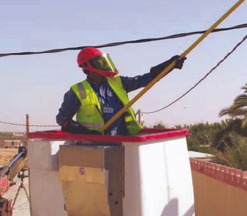 مزرعة الأمير محمد بن نايف